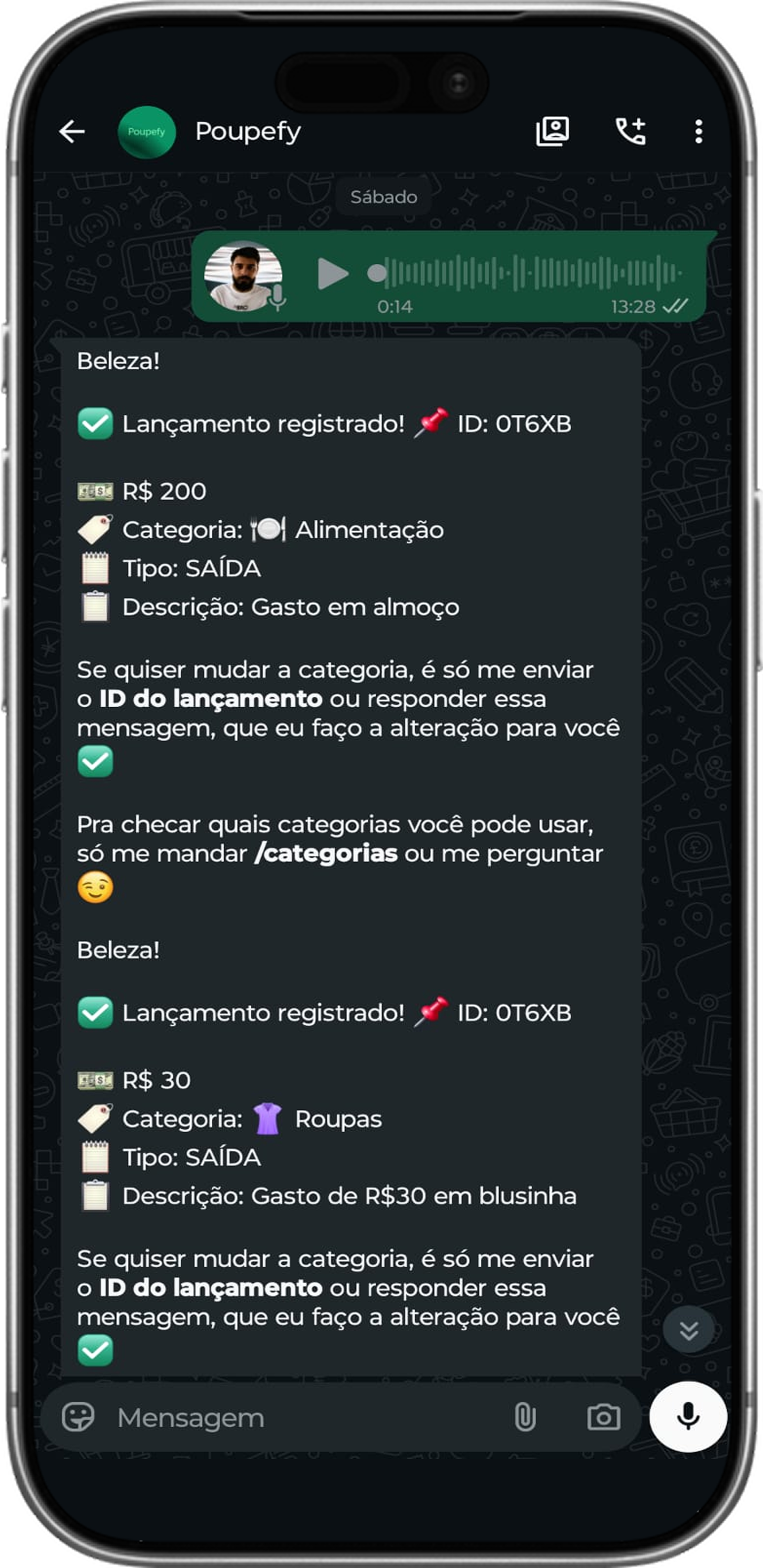 Registro de gastos por áudio
